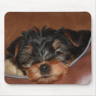 Mousepad Retarde o close up do piscar os olhos