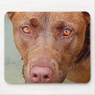 Mousepad Retrato 2 de caroço de caroço de caroço de caroço