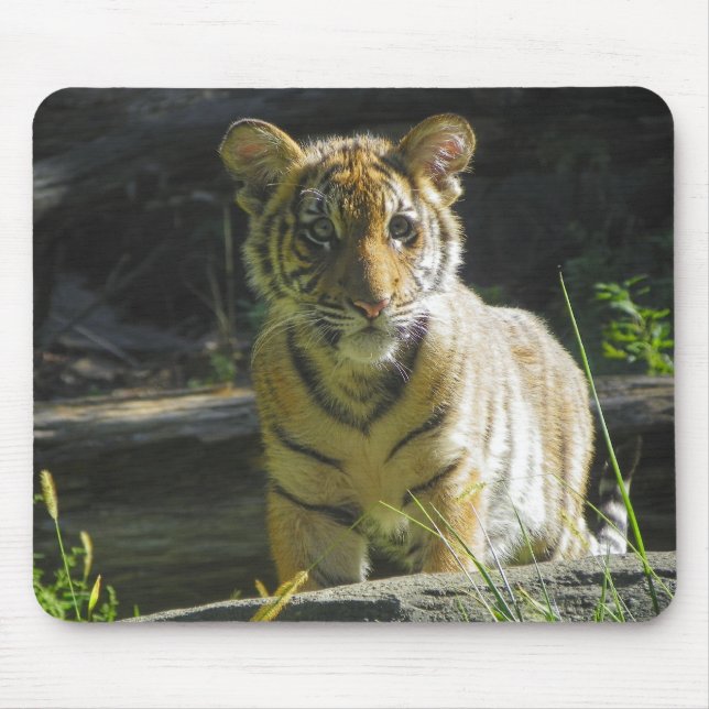 Mousepad Retrato 4 de Cub de tigre (Frente)