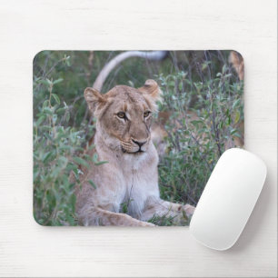 Mousepad Retrato Africano da Vida Selvagem em Descanso