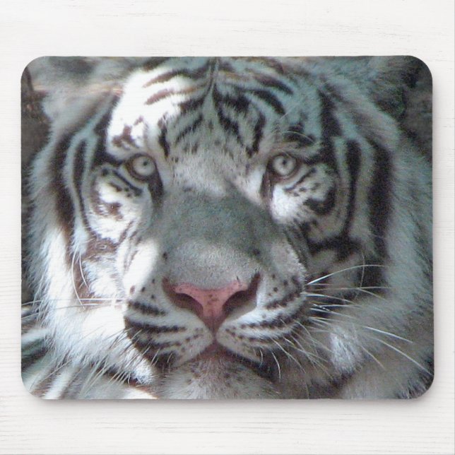 Mousepad Retrato branco do tigre (Frente)