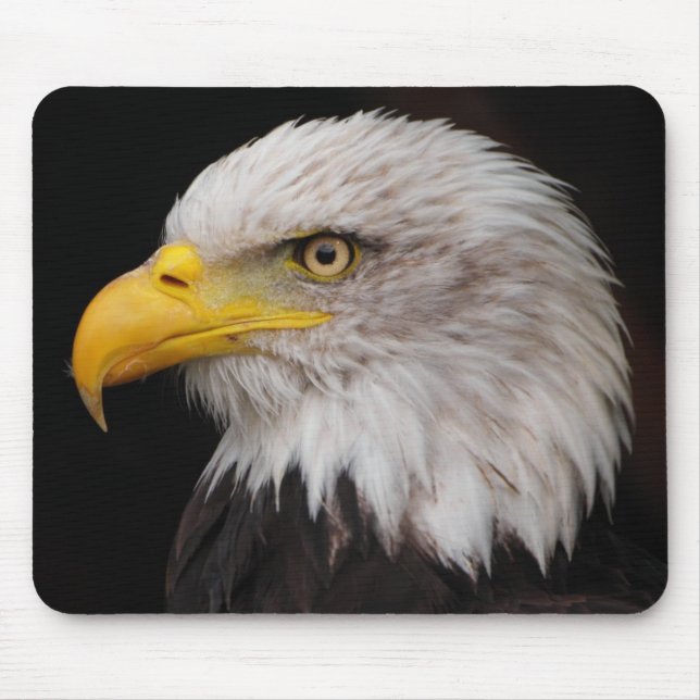 Mousepad Retrato da águia (Frente)