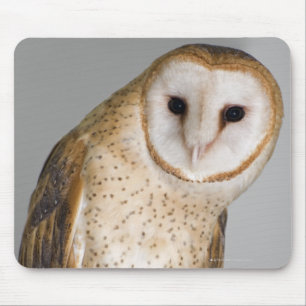 Mousepad Retrato da coruja de celeiro (Tyto alba).
