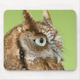 Mousepad Retrato da coruja de Screech