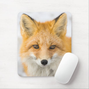 Mousepad Retrato da Raposa Vermelha