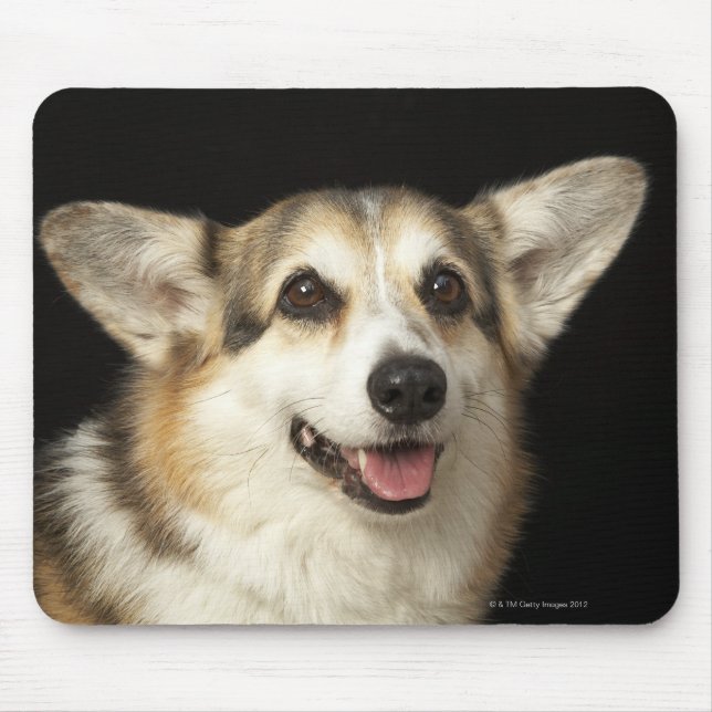 Mousepad Retrato de Corgi preto, castanho e branco (Frente)