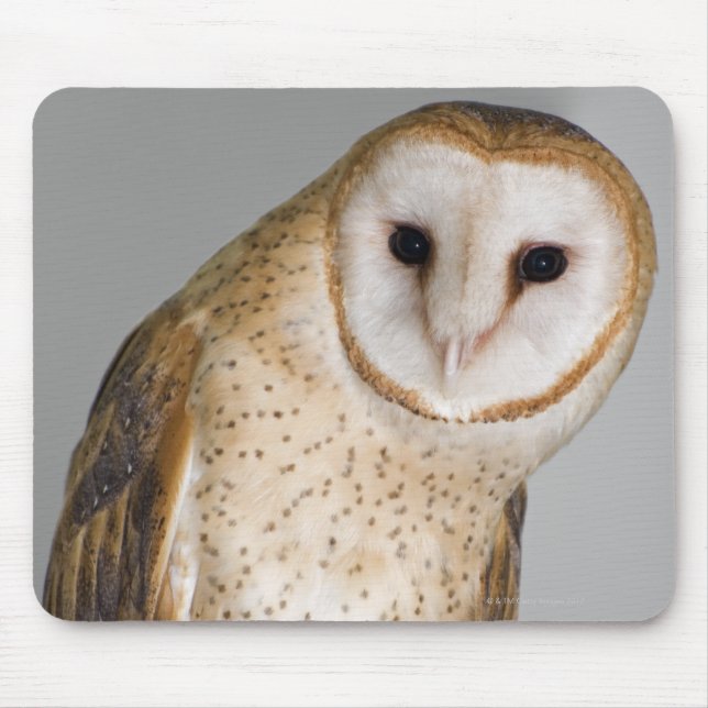 Mousepad Retrato de coruja-de-celeiro (Tyto alba). (Frente)