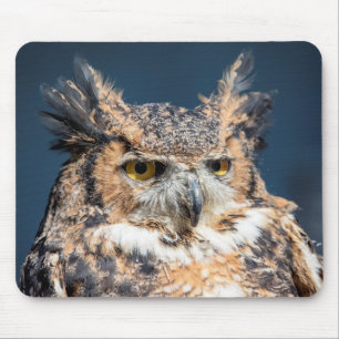 Mousepad Retrato de Coruja excelente