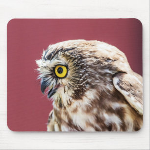Mousepad Retrato de Coruja norte
