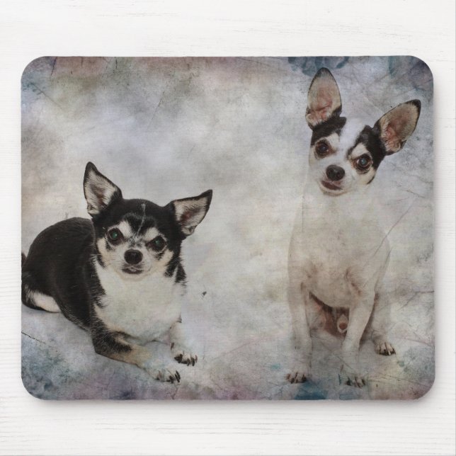 Mousepad Retrato de dois chihuahua (Frente)