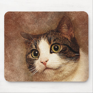 Mousepad Retrato de Gatinho de olhos largos | ABSTRATO | Wa