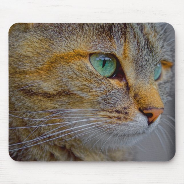 Mousepad Retrato de Gato Tiger (Frente)