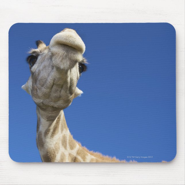 Mousepad Retrato de Girafa (Giraffa Camelopardalis) (Frente)