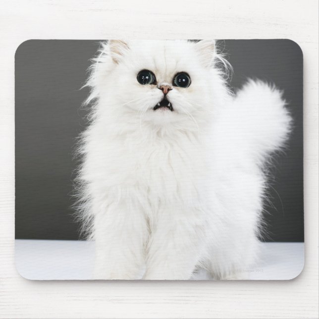 Mousepad Retrato de Kitten (Frente)