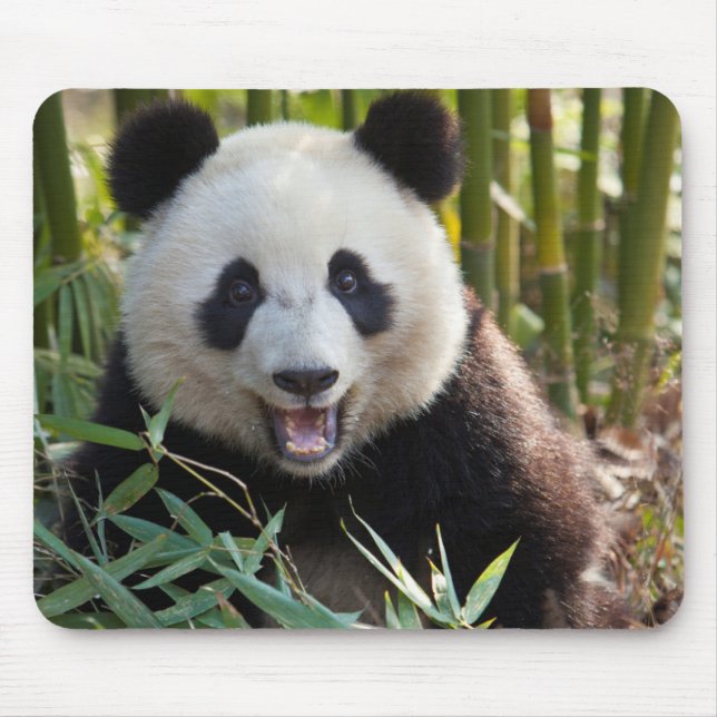 Mousepad Retrato de Panda Sorridente (Frente)