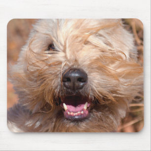 Mousepad retrato de Soft Coated Wheaten Terrier