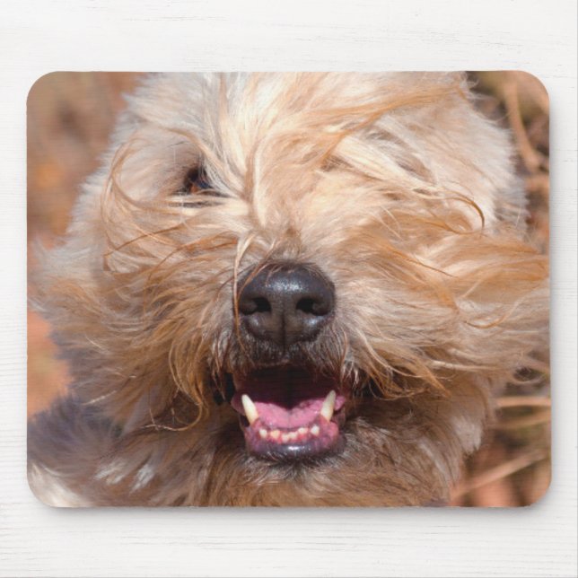 Mousepad retrato de Soft Coated Wheaten Terrier (Frente)