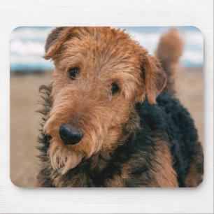 Mousepad Retrato de um Airedale Terrier