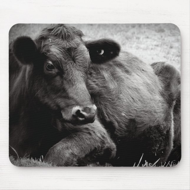 Mousepad Retrato de um Angus (Frente)