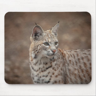 Mousepad Retrato de um Bobcat