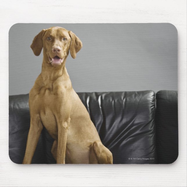 Mousepad Retrato de um cão (Frente)