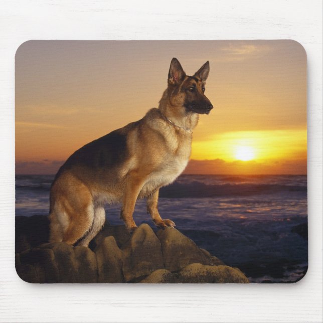 Mousepad Retrato de um cão de german shepherd ou de um (Frente)