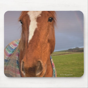 Mousepad Retrato de um cavalo com um arco-íris no céu