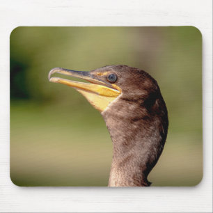 Mousepad Retrato de um Corvo