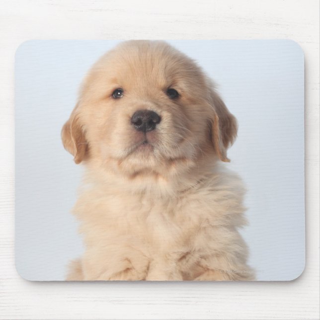 Mousepad Retrato de um filhote de recuperação de ouro de se (Frente)