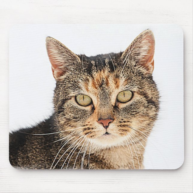Mousepad Retrato de um gato (Frente)