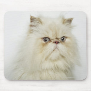 Mousepad Retrato de um gato persa