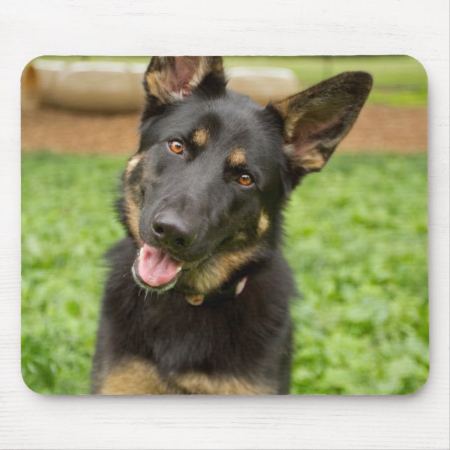 Mousepad Retrato de um German shepherd (Frente)