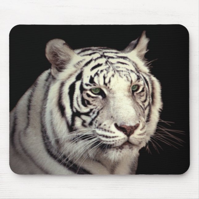 Mousepad Retrato de um Tigre Bengala Branco (Frente)