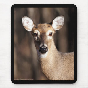 Mousepad Retrato de uma Corça de Cauda Branca de Vida Selva