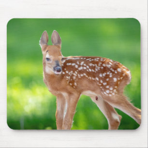 Mousepad Retrato de uma Fawn recém-nascida (veado de cauda