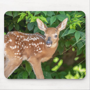 Mousepad Retrato de uma Fawn recém-nascida (veado de cauda