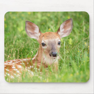 Mousepad Retrato de uma Fawn (veado branco)