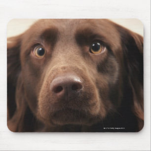 Mousepad Retrato de uma fêmea nova apreensiva