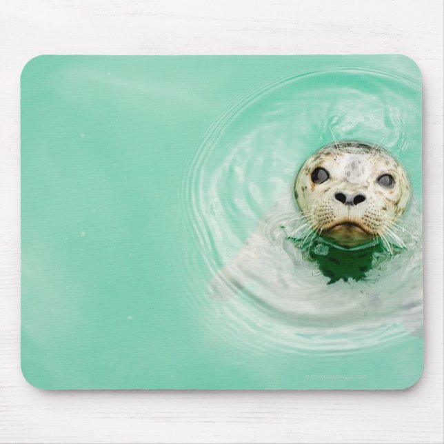 Mousepad Retrato de uma foca na água (Frente)