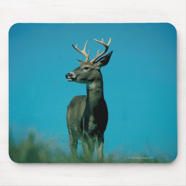Mousepad Retrato de veado (Frente)