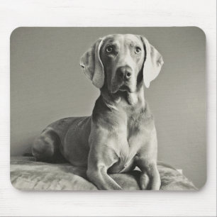 Mousepad Retrato de Weimaraner