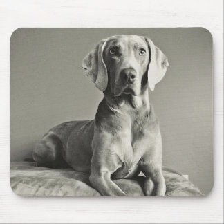 Mousepad Retrato de Weimaraner