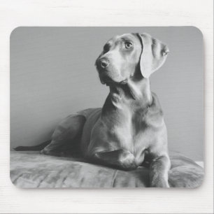 Mousepad Retrato de Weimaraner
