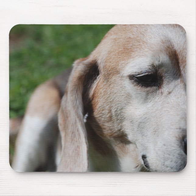 Mousepad retrato do beagle (Frente)