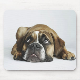 Mousepad Retrato do buldogue velho de Dorset Tyme
