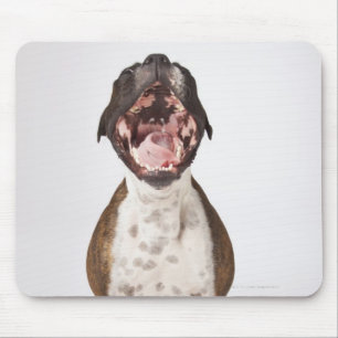 Mousepad retrato do cão do pugilista que boceja