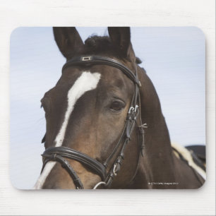 Mousepad retrato do cavalo marrom