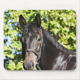 Mousepad retrato do cavalo marrom 2