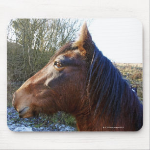 Mousepad Retrato do cavalo marrom no dia frio que olha
