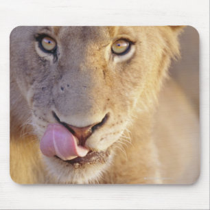 Mousepad Retrato do close up de um encontro masculino novo